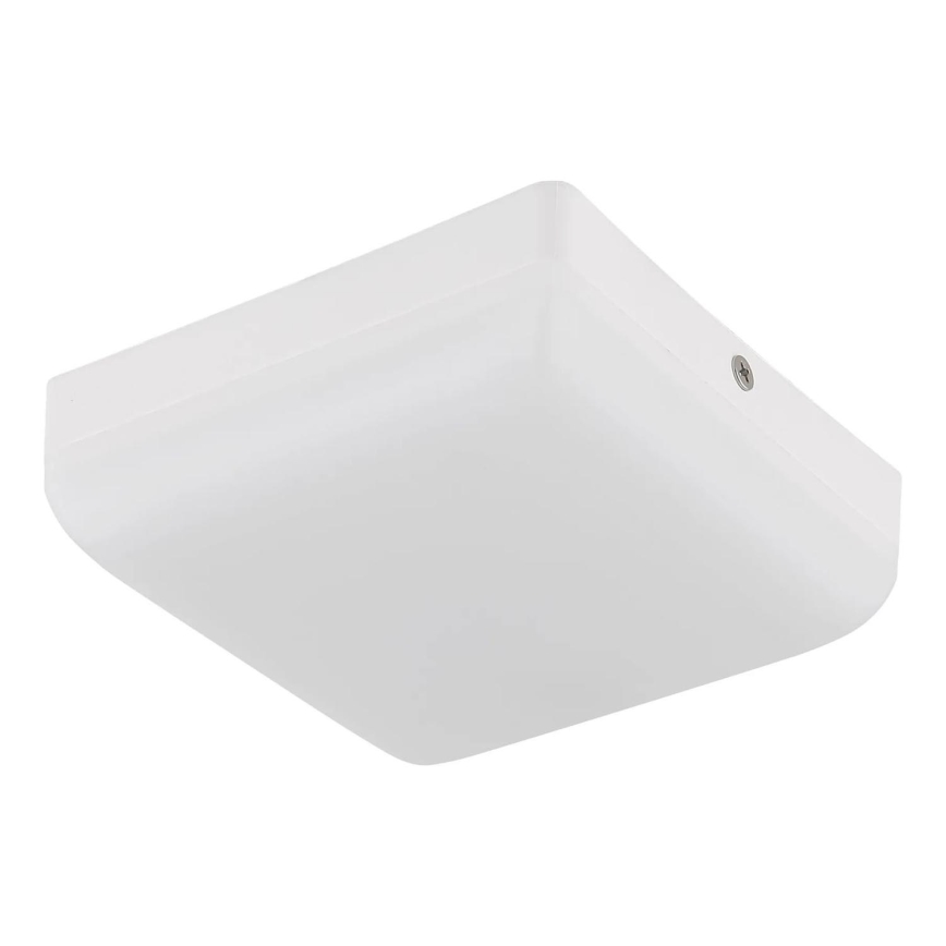 Globo - LED Stropní svítidlo LED/8W/230V 4000K 12x12 cm bílá