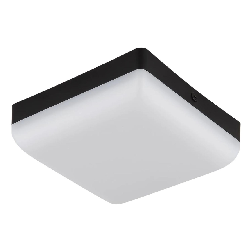 Globo - LED Stropní svítidlo LED/8W/230V 4000K 12x12 cm černá