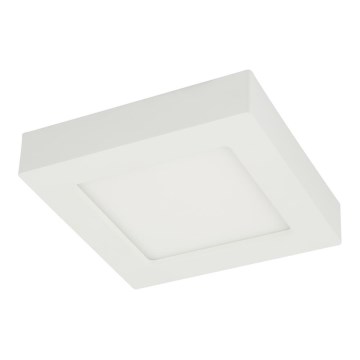 Globo - LED Stropní svítidlo SVENJA 1xLED/12W/230V