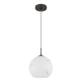 Globo - Lustr na lanku 1xE27/60W/230V pr. 25 cm