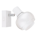 Globo - Nástěnné bodové svítidlo 1xE14/40W/230V bílá