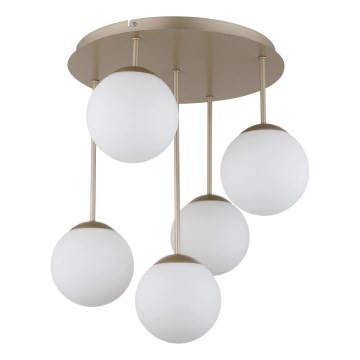 Globo - Přisazený lustr 5xE14/25W/230V mosaz