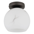 Globo - Stropní svítidlo 1xE27/60W/230V pr. 20 cm