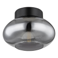 Globo - Stropní svítidlo 1xE27ILLU/40W/230V černá