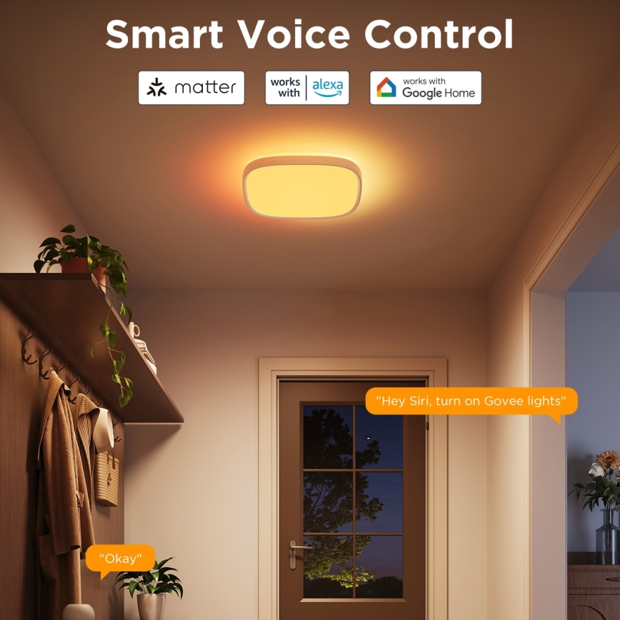 Govee - LED RGBIC Stmívatelné stropní svítidlo LED/24W/230V 2700-6500K Wi-Fi