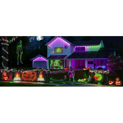 Govee - LED RGBIC Venkovní světelná síť 143x85cm Wi-Fi Matter IP65