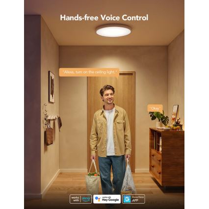 Govee - LED RGBICWW Stmívatelné stropní svítidlo LED/29W/230V pr. 30 cm Matter Wi-Fi