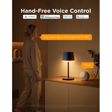 Govee - LED RGBICWW Stmívatelná stolní lampa CLASSIC MATTER LED/10W/5V 4800mAh Wi-Fi