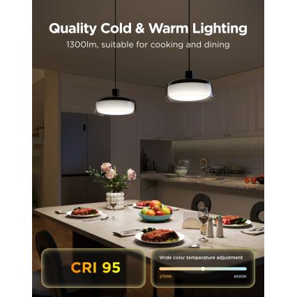 Govee - LED RGBICWW Stmívatelný lustr na lanku LED/21W/230V Matter Wi-Fi