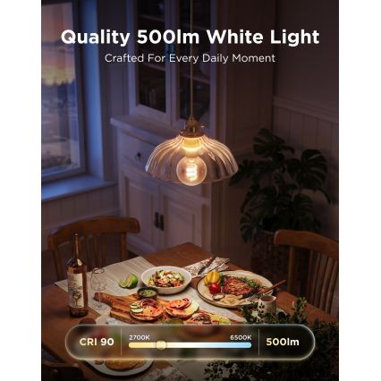 Govee - LED RGBWW Stmívatelná žárovka Smart MATTER G80 E27/5W/230V 2700-6500K Wi-Fi