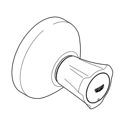 GROHE 19809001 - Vrchní díl podomítkového ventilu COSTA L lesklý chrom