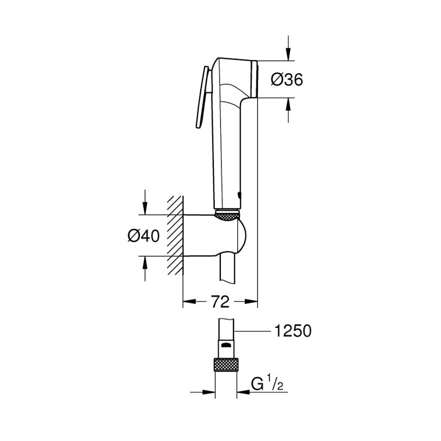 GROHE 26354000 - Ruční sprcha TEMPESTA-F 1250 mm lesklý chrom