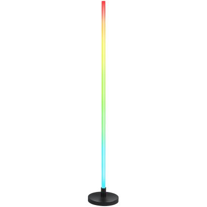 Grundig - LED RGB Stmívatelná stojací lampa LED/5W/5V + dálkové ovládání