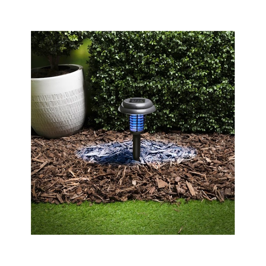 Grundig - LED Solární lampa a lapač hmyzu UV LED/1xAA 600 mAh IPX4