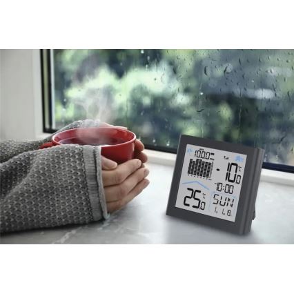 Hama - Meteostanice se srážkoměrem a LCD displejem 2xAAA antracit