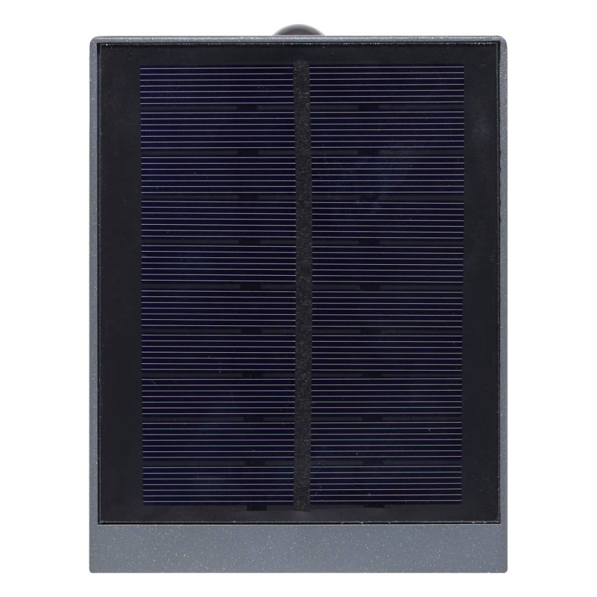 Hesperide - LED Solární nástěnné svítidlo se senzorem pohybu MULTY LED/3,7V 2600 mAh IP65 antracit