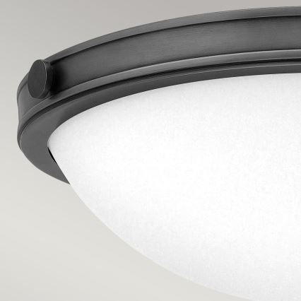 Hinkley - Stropní svítidlo COLLIER 2xE27/40W/230V pr. 34,6 cm černá