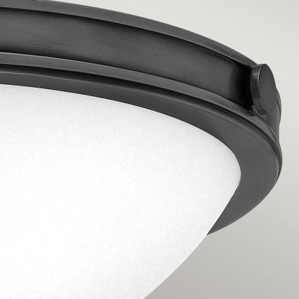Hinkley - Stropní svítidlo COLLIER 2xE27/40W/230V pr. 34,6 cm černá