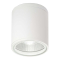 Ideal Lux - Koupelnové bodové svítidlo GUN 1xGU10/28W/230V IP44 bílá