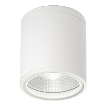 Ideal Lux - Koupelnové bodové svítidlo GUN 1xGU10/28W/230V IP44 bílá