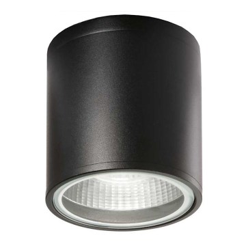 Ideal Lux - Koupelnové bodové svítidlo GUN 1xGU10/28W/230V IP44 černá