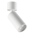 Ideal Lux - LED Bodové svítidlo DYNAMITE 1xGU10/7W/230V CRI 90 bílá