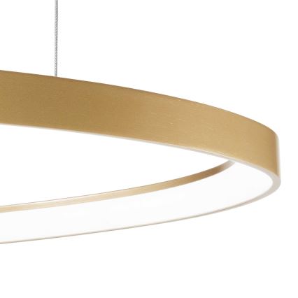 Ideal Lux - LED Lustr na lanku GEMINI LED/59W/230V pr. 81 cm CRI 90 zlatá