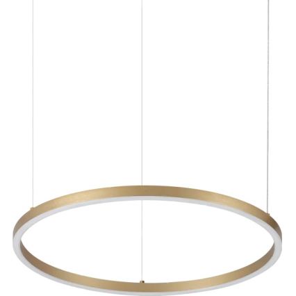Ideal Lux - LED Lustr na lanku ORACLE SLIM LED/29W/230V 3000K CRI 90 pr. 50 cm zlatá