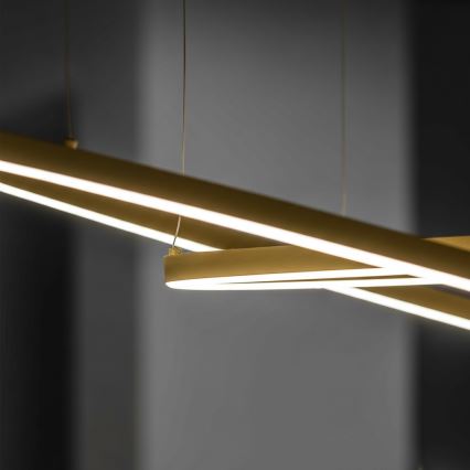 Ideal Lux - LED Lustr na lanku ORACLE SLIM LED/29W/230V 3000K CRI 90 pr. 50 cm zlatá