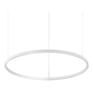 Ideal Lux - LED Lustr na lanku ORACLE SLIM LED/37W/230V 2700K CRI 90 pr. 70 cm bílá