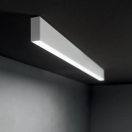 Ideal Lux - LED Lustr na lanku STEEL LED/29W/230V 4000K CRI 90 120 cm bílá