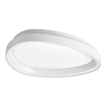 Ideal Lux - LED Stropní svítidlo GEMINI LED/23W/230V pr. 42,5 cm CRI 90 bílá