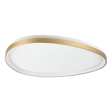 Ideal Lux - LED Stropní svítidlo GEMINI LED/42W/230V pr. 81 cm CRI 90 zlatá