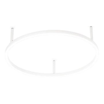Ideal Lux - LED Stropní svítidlo ORACLE SLIM LED/29W/230V 4000K CRI 90 pr. 50 cm bílá