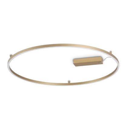 Ideal Lux - LED Stropní svítidlo ORACLE SLIM LED/53W/230V 3000K CRI 90 pr. 90 cm zlatá
