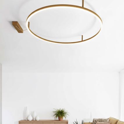 Ideal Lux - LED Stropní svítidlo ORACLE SLIM LED/53W/230V 3000K CRI 90 pr. 90 cm zlatá