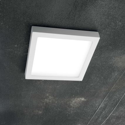 Ideal Lux - LED Stropní svítidlo UNIVERSAL LED/36W/230V 40x40 cm CRI 90 bílá