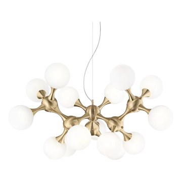 Ideal Lux - Lustr na lanku NODI 15xE14/28W/230V mosaz