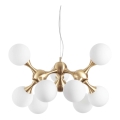 Ideal Lux - Lustr na lanku NODI 9xE14/28W/230V pr. 80 cm mosaz/bílá