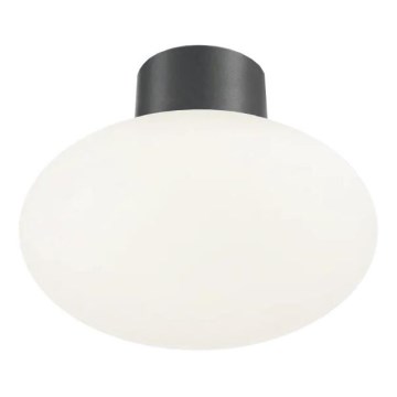 Ideal Lux - Venkovní stropní svítidlo CLIO 1xE27/42W/230V IP44 antracit