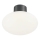 Ideal Lux - Venkovní stropní svítidlo CLIO 1xE27/42W/230V IP44 antracit