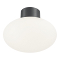 Ideal Lux - Venkovní stropní svítidlo CLIO 1xE27/42W/230V IP44 antracit