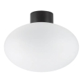 Ideal Lux - Venkovní stropní svítidlo CLIO 1xE27/42W/230V IP44 černá