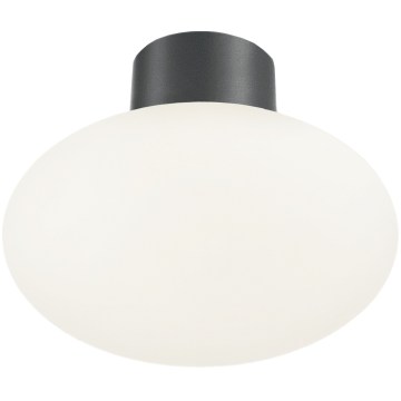 Ideal Lux - Venkovní stropní svítidlo CLIO 1xE27/42W/230V pr. 28 cm IP44 antracit