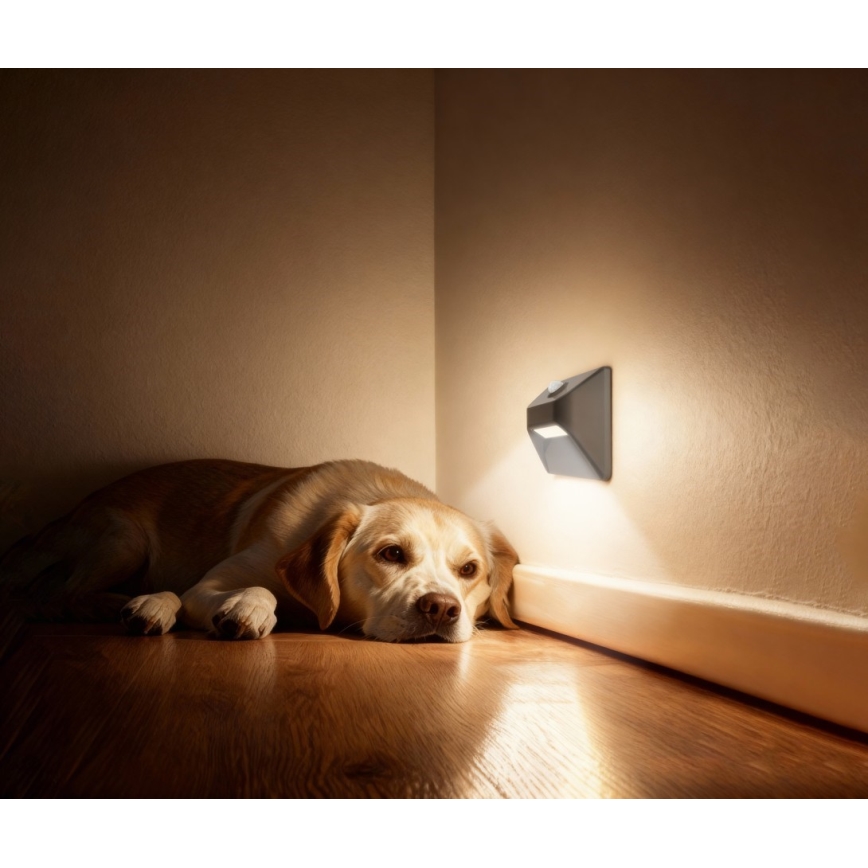 Immax 08309L - LED Nabíjecí schodišťové svítidlo se senzorem STEP LIGHT LED/0,3W/3,7V 2200 mAh IP53 šedá