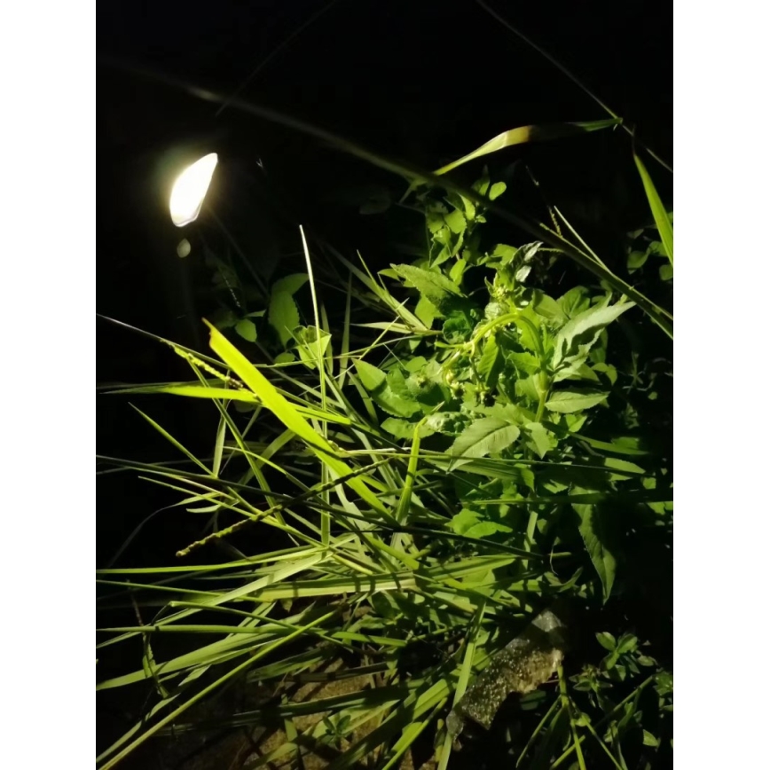 LED Solární lampa se senzorem LED/1W/3,7V 6000K IP65 1500 mAh