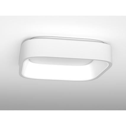 Immax NEO TOPAJA - LED Stropní svítidlo na dálkové ovládání LED/47W/230V