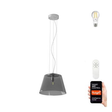 Immax NEO 07054L - LED Stmívatelný lustr na lanku CONO 1xE27/8,5W/230V 32 cm Tuya