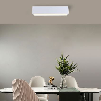 Immax NEO 07072-60 - LED Stmívatelné stropní svítidlo CANTO LED/34W/230V bílá Tuya + dálkové ovládání