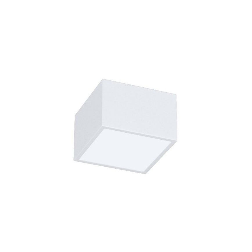 Immax Neo 07072L-15BD - Sada 2x LED Stmívatelné stropní svítidlo CANTO 2xLED/12W/230V + dálkové ovládání Tuya